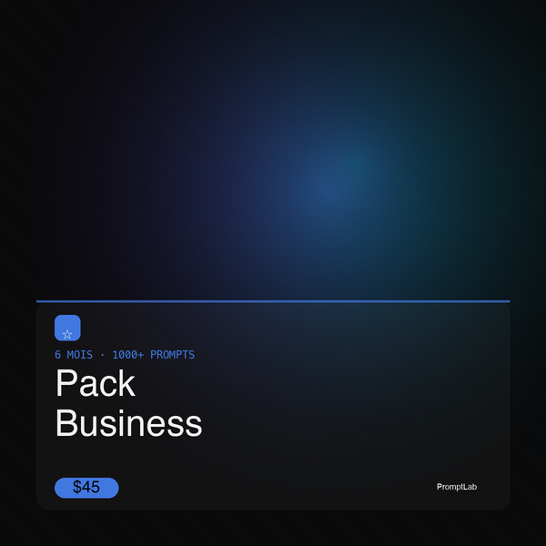 Pack Business 6Mois