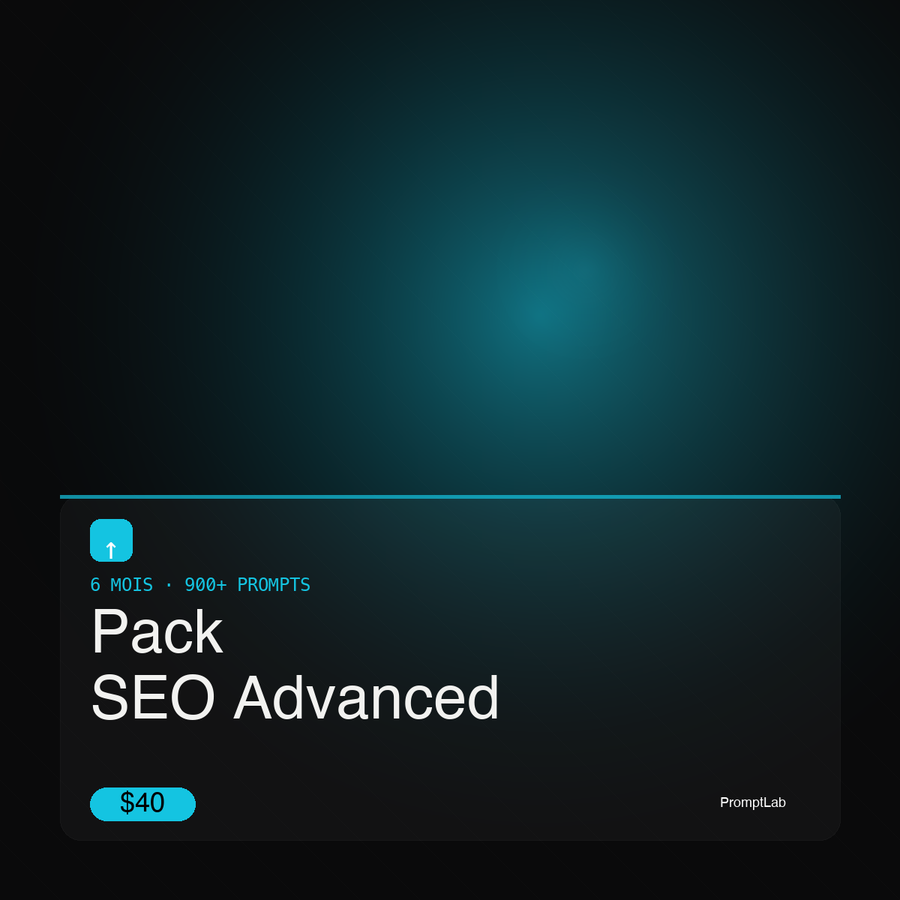 Pack Seo 6Mois